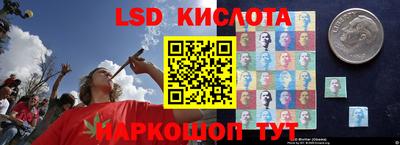 прущие грибы Ликино-Дулёво