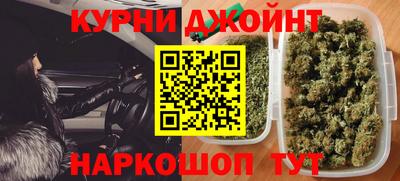 индика Лесосибирск