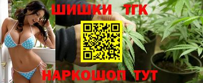 индика Лесосибирск