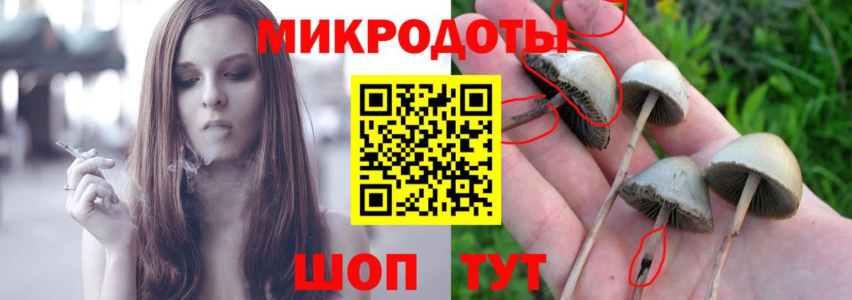 Псилоцибиновые грибы Psilocybe  Вход с VPN  Шелехов 